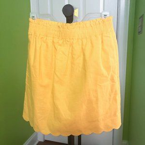 J.Crew Factory Skirt